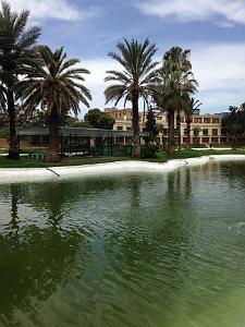 ORAN - JARDIN PUBLIC (2)